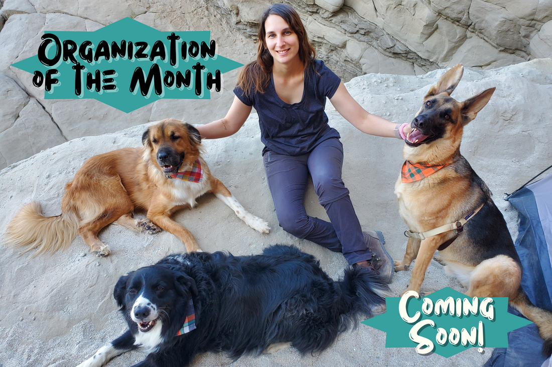 Organization of the Month - March 2023